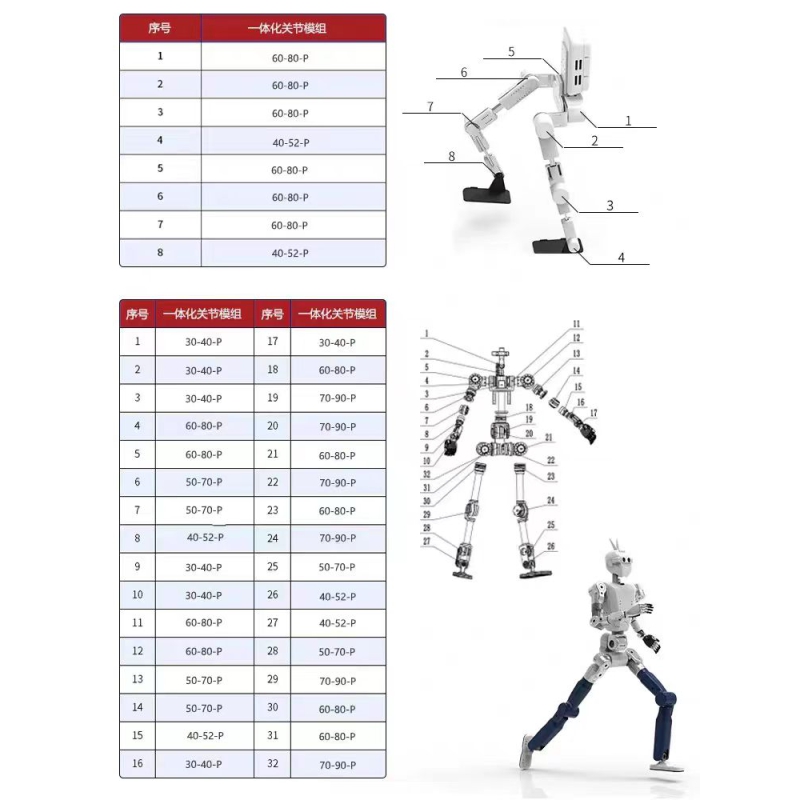 人行机器人关节模组